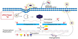 RUSSIAN FEDERATION SITREP 16 SEPTEMBER 2021 by Patrick Armstrong RUSSIAN FEDERATION SITREP 16 SEPTEMBER 2021 by Patrick Armstrong