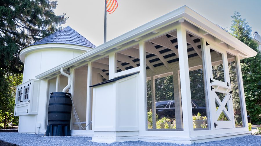 JD Vance Adds Custom Chicken Coop at Naval Observatory, Will Personally Care for Birds JD Vance Adds Custom Chicken Coop at Naval Observatory, Will Personally Care for Birds